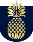 pineapple icon pineapple icon